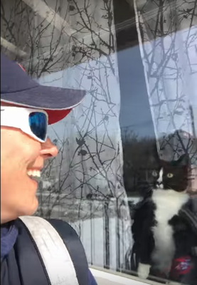 postman_vs_cat.png
