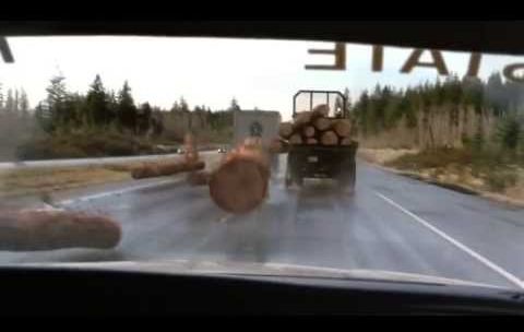 A_Car_Chase_Montage.jpg