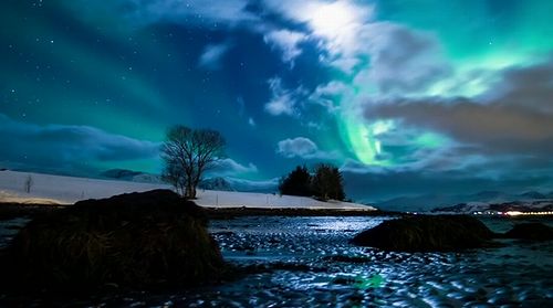 Arctic_Motion01.jpg