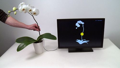 BOTANICUS_INTERACTICUS01.jpg