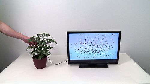BOTANICUS_INTERACTICUS02.jpg