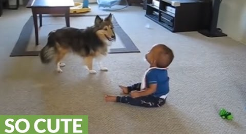 Baby_cant_stop_laughing.png