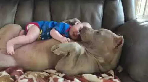 Belle_with_baby.png