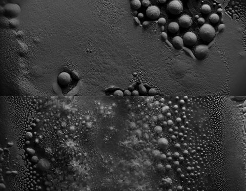 CYMATICS.jpg