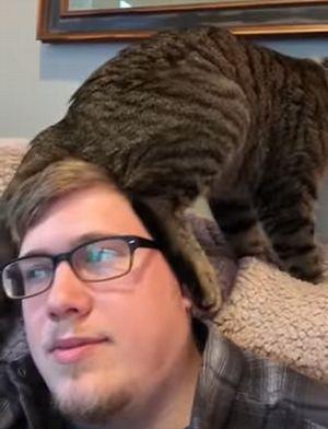 Cat_Discovers_a_Comfortable_Seat.jpg