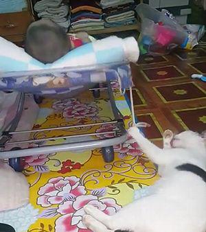 Cat_Has_Multitasking_Perfected.jpg