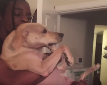 Dog_Really_Doesnt_Want_A_Bath.png