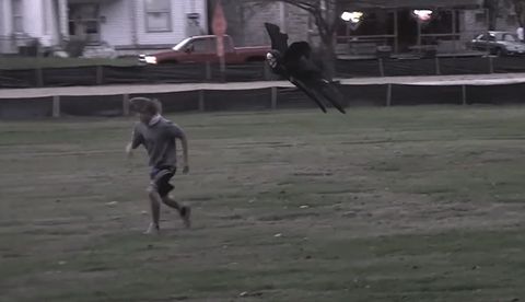 Epic_Halloween_Prank.jpg