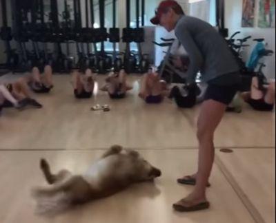 Exercise_class.jpg