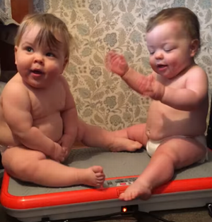 Kiwi_Babies_Jiggle_and_Giggle.png