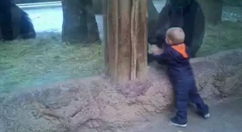 Little_Boy_Plays_Hide_and_Seek.png