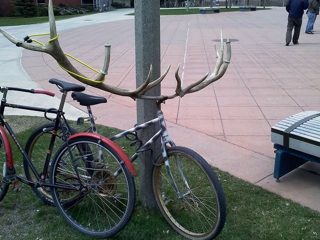 Meanwhile_in_Montana.jpg
