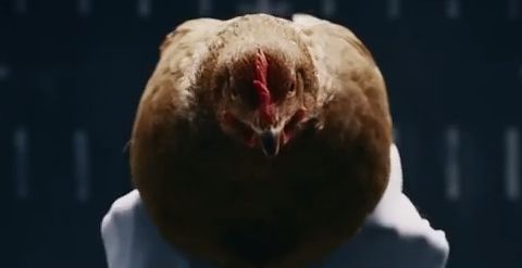 Mercedes-Benz_CM.jpg
