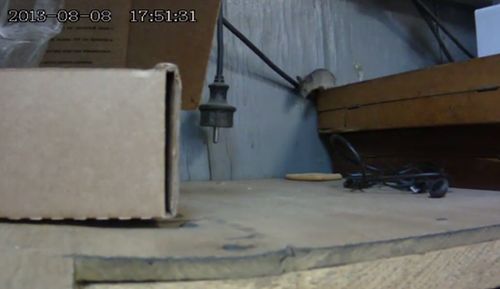 Mouse_Finally_Gets_The_Cracker.jpg