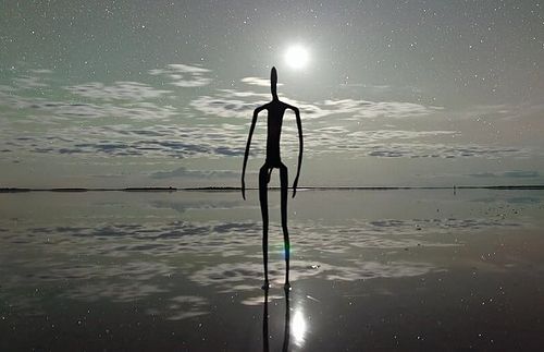 Nocturnal.jpg