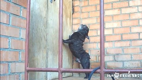 Open_the_door.jpg