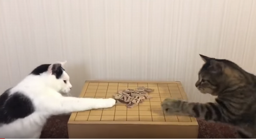 Pavlovs_Kitties.png