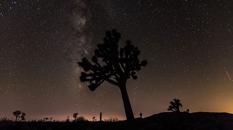 Perseid_Meteor_Shower.jpg