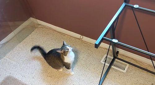 Removed_my_desks_glass_top.jpg