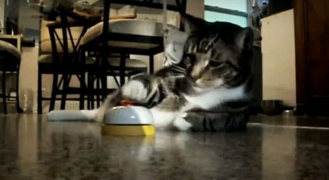 Ring_ring_Kitty.jpg