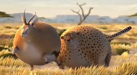 Rollin_Safari.jpg