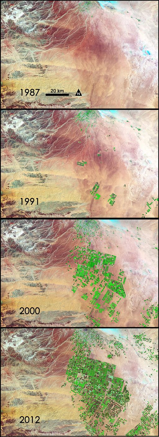 Saudi_Arabia.jpg