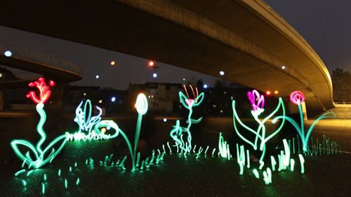 Shine_a_Light_for_Nature.jpg