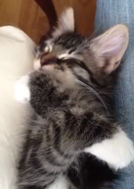 Sleep_Washing.jpg