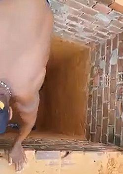 Surprise_Twist_During_Cat_Rescue.jpg