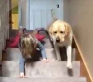 The_ultimate_stair_masters.png