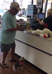 This_Dog_Loves_to_Shop.png