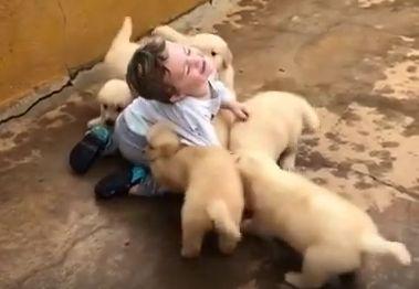 Toddler_Gleefully_Rolls_on_the_Ground.jpg