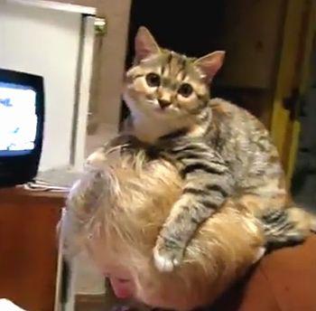 When_Your_Cat_is_Controlling_You.jpg