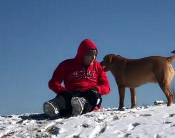 When_the_Dog_Wants_a_Turn_on_the_Sled.jpg