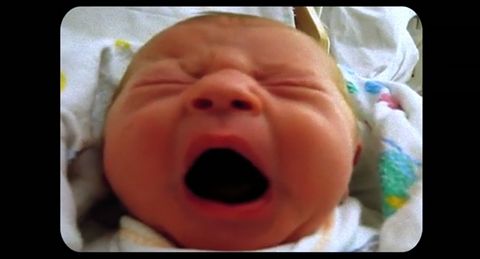 Yawns.jpg
