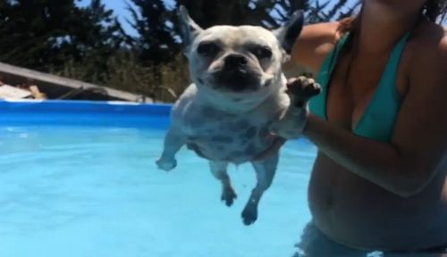 Air_swimming.jpg