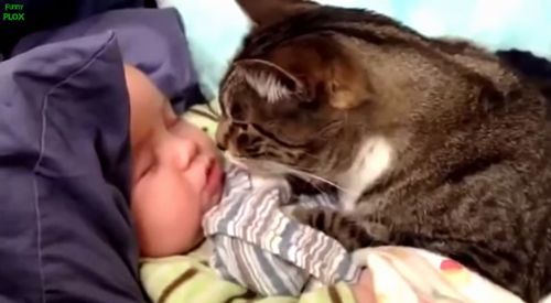 Best_Babies_and_Animals.jpg