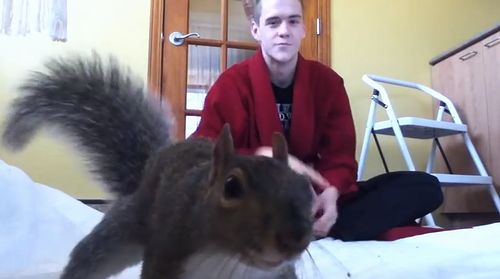Squirrel_Playing.jpg
