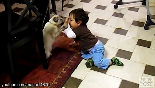 kitties_vs_kiddies.jpg