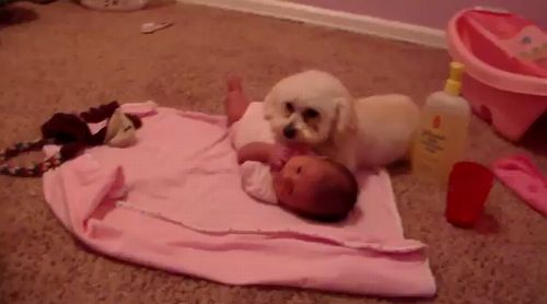 Protecting_his_baby_sister.jpg