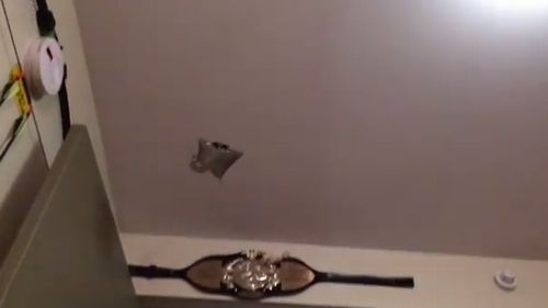 Hazel_The_Sugar_Glider.jpg