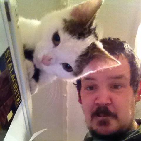 transparent_cat.jpg