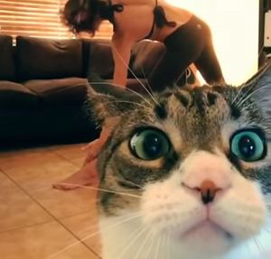 Milo_Wanted_Attention.jpg