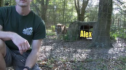 Never_Turn_Your_Back_on_BIG_CATS.jpg