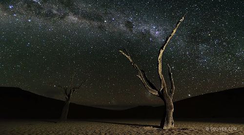 namibian_nights.jpg