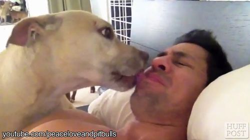 dog_alarm_clock.jpg