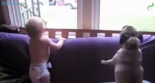 dads_come_home.jpg