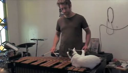 Vibes_Cat.jpg