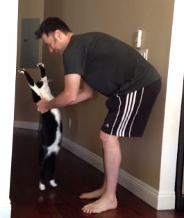 Stretch_Kitty.jpg
