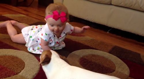 Buddys_Baby_Crawling_School.jpg